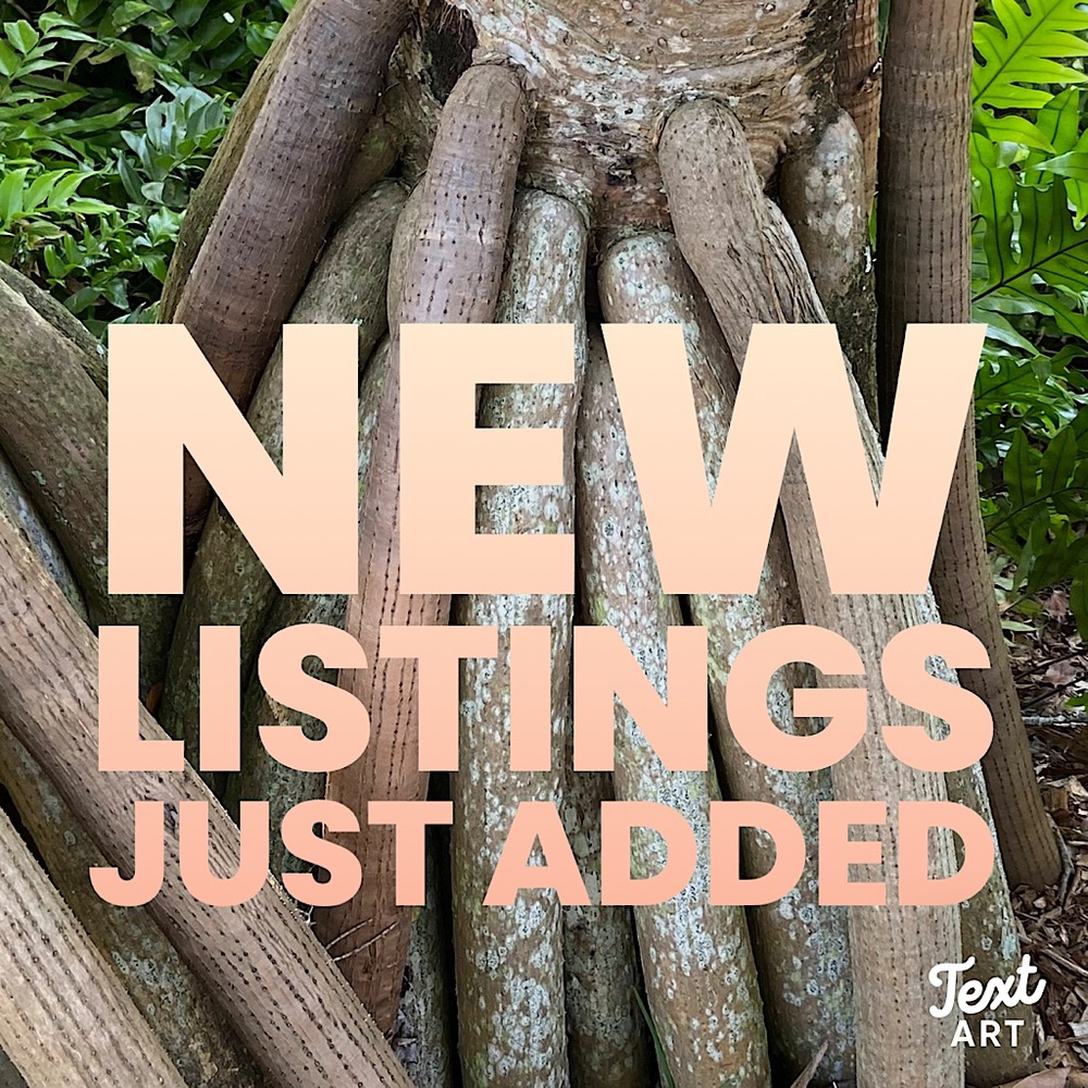 New items listed! - Picture 12 of 16